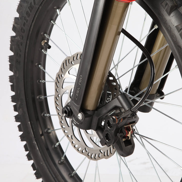 E-Ride Pro SS 3.0
