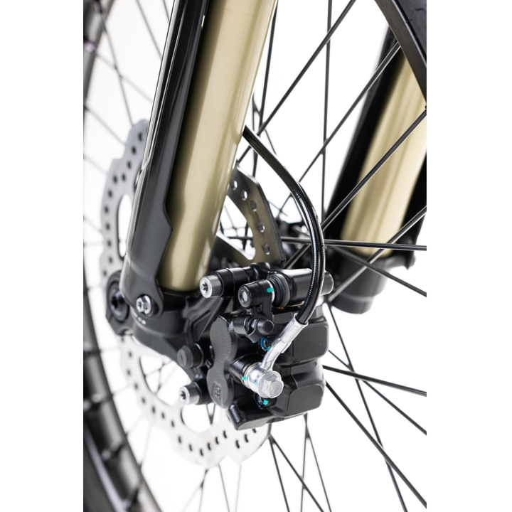 Arctic Leopard XE Pro R