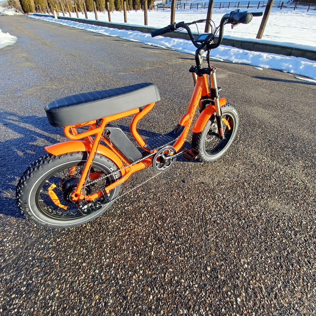EFBMoto 500