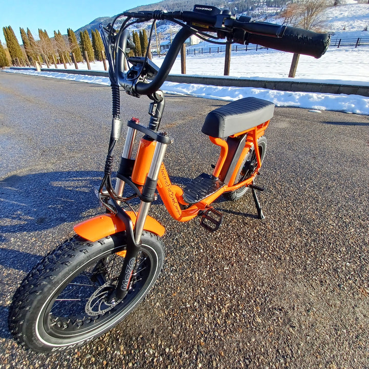 EFBMoto 500