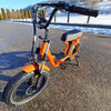EFBMoto 500