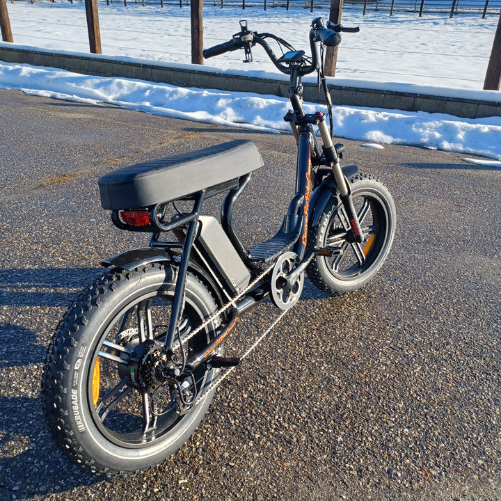 EFBMoto 750