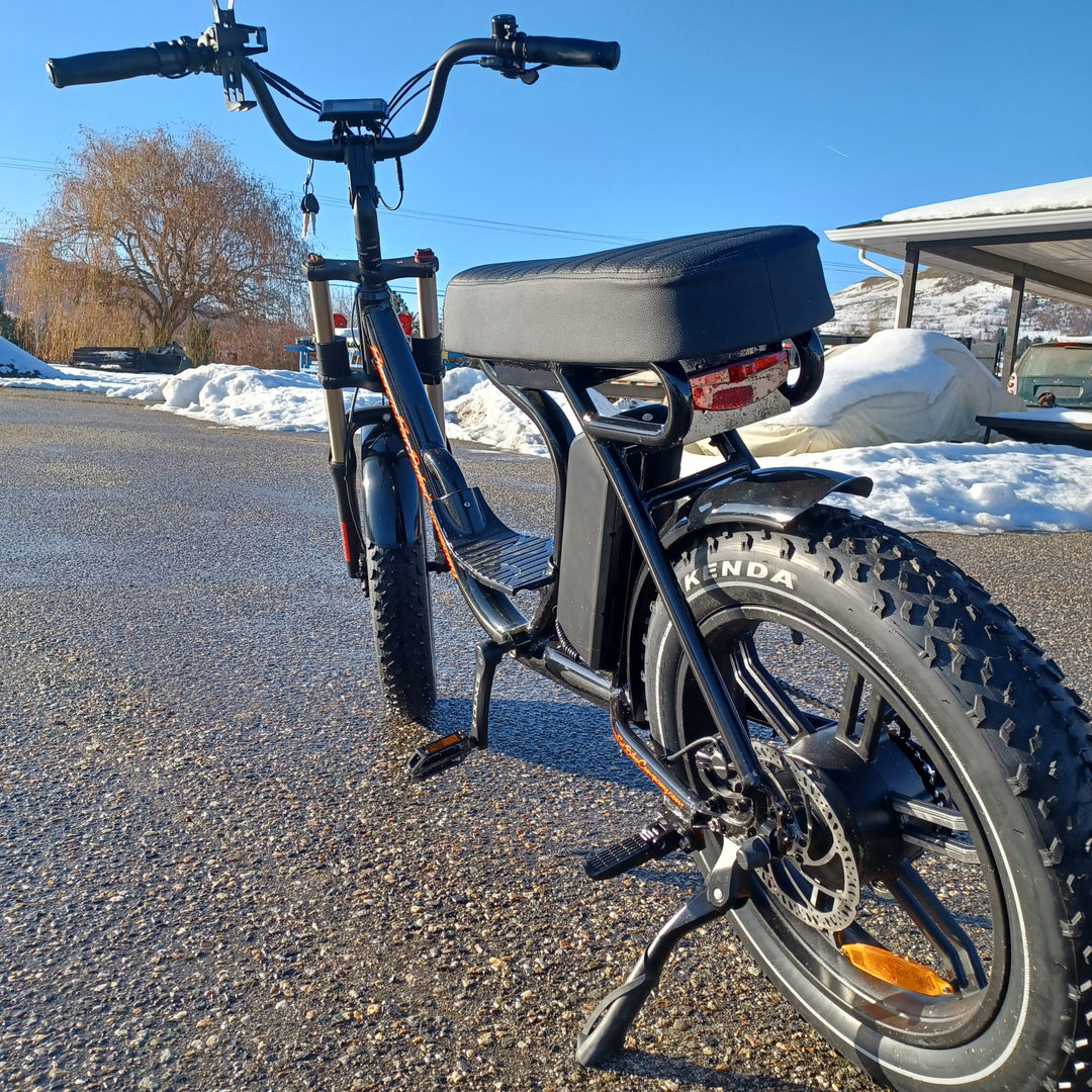EFBMoto 750