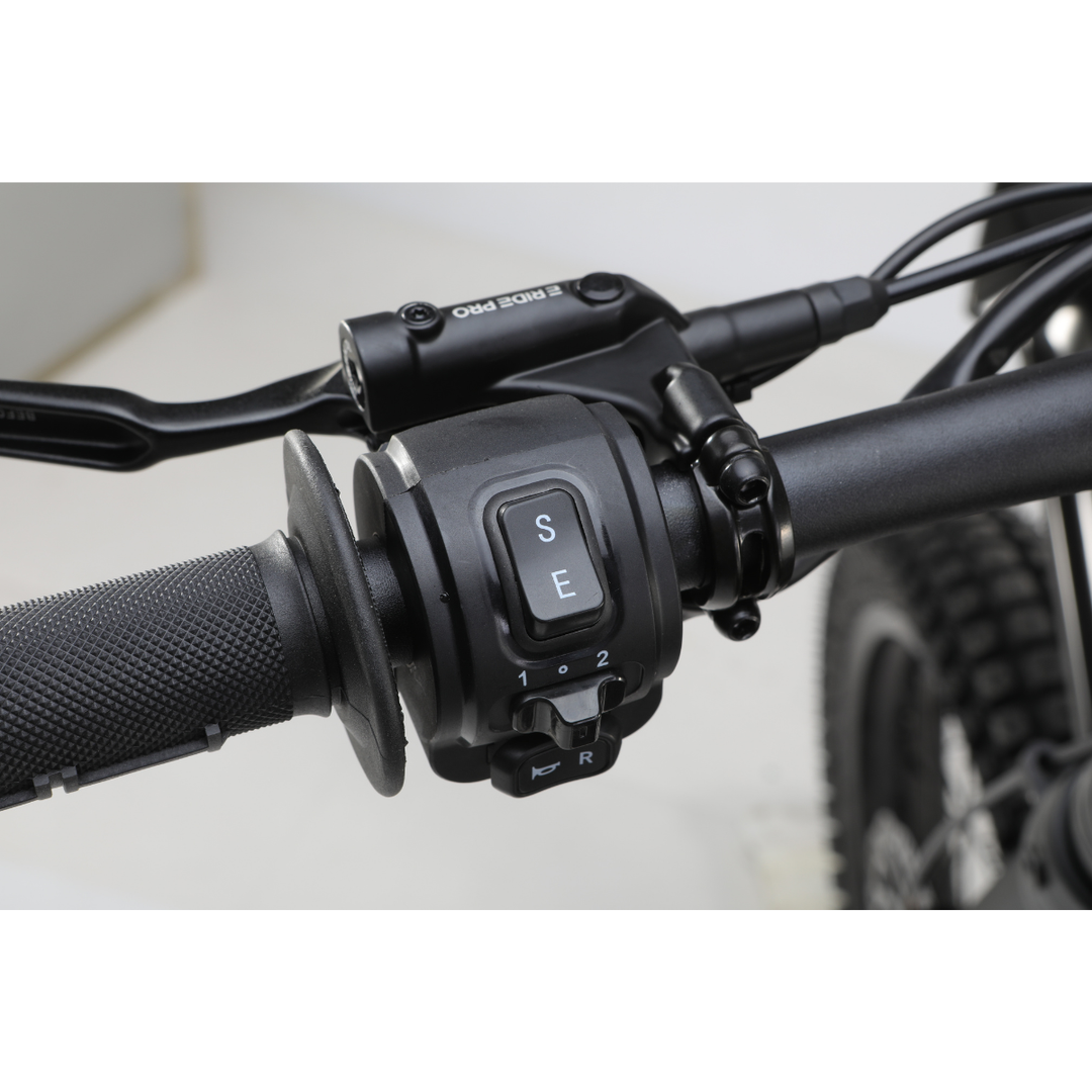 E Ride Pro 2.0