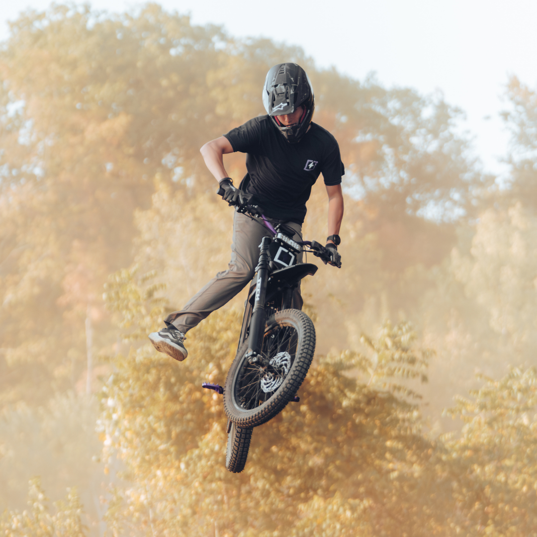 E Ride Pro 2.0