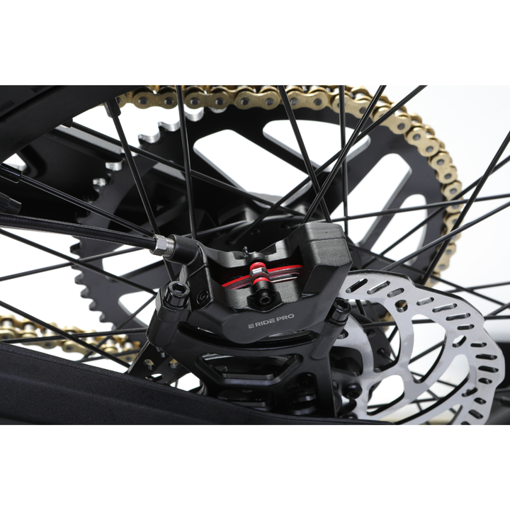 E Ride Pro S