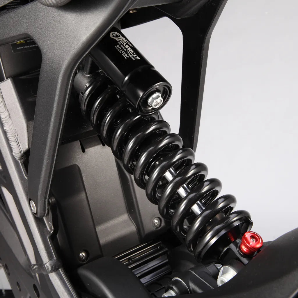 E-Ride Pro SS 3.0