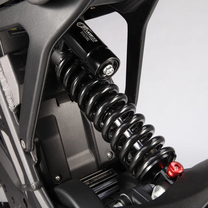 E-Ride Pro SS 3.0
