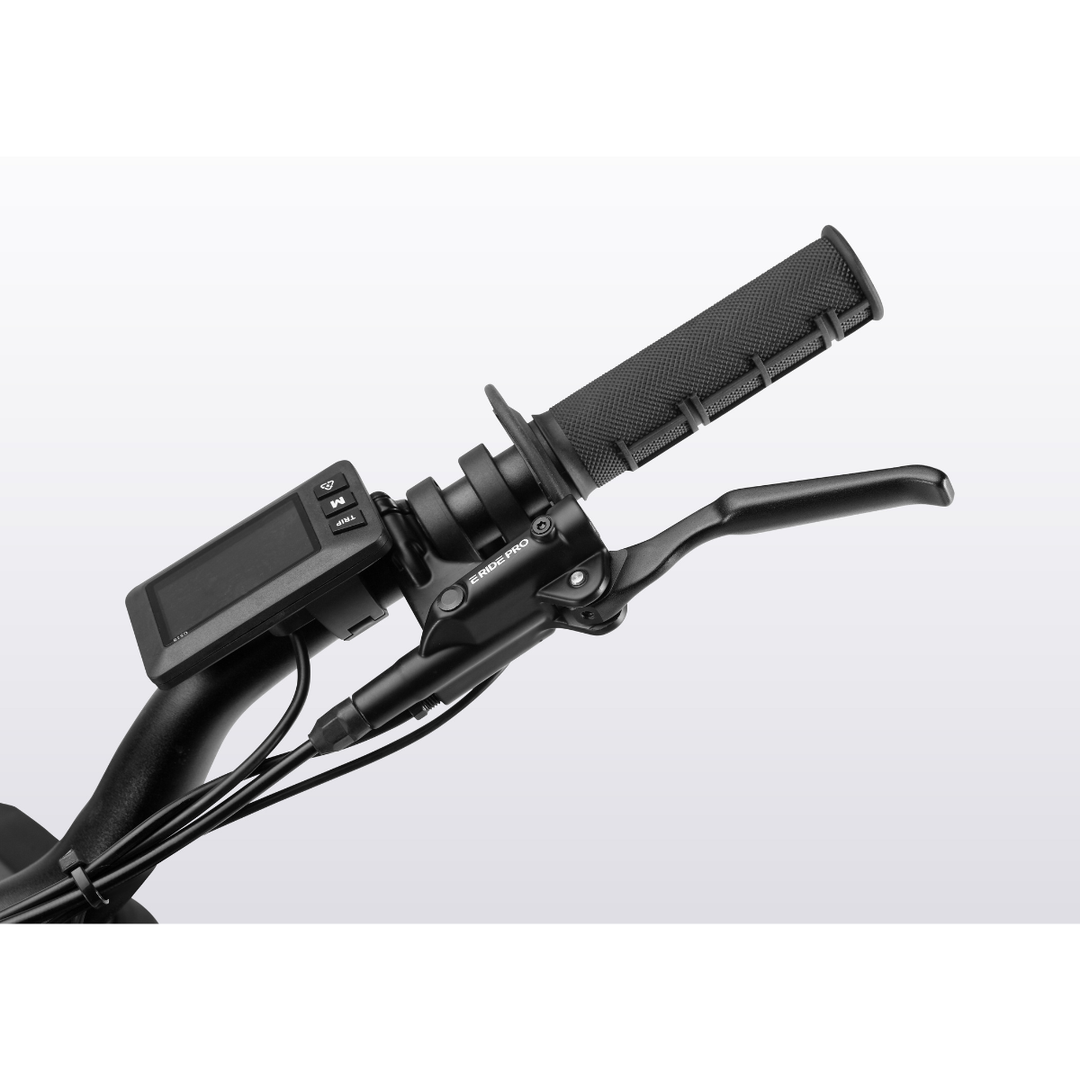 E Ride Pro Mini R