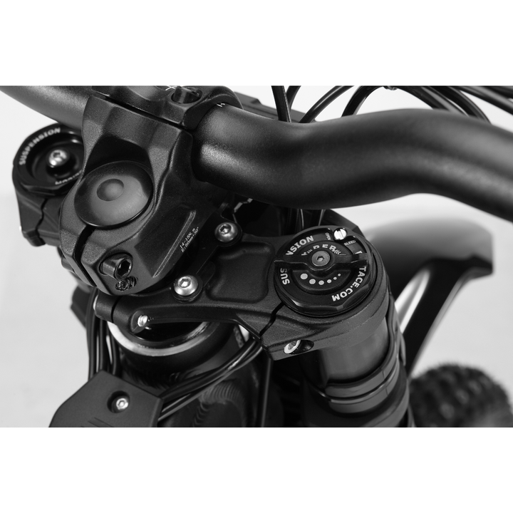 E Ride Pro Mini R