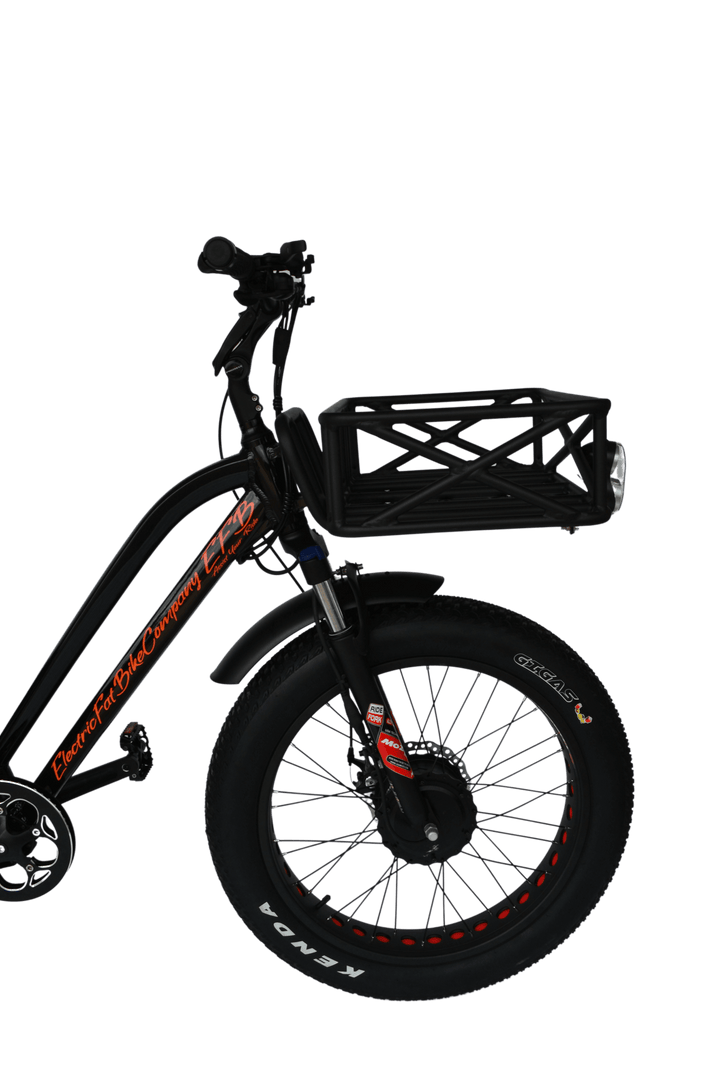 EFBTrike 750 Step-Over