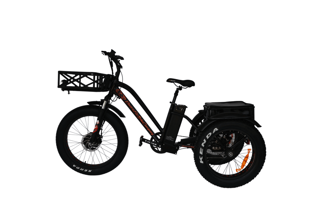 EFBTrike 500 Step-Over