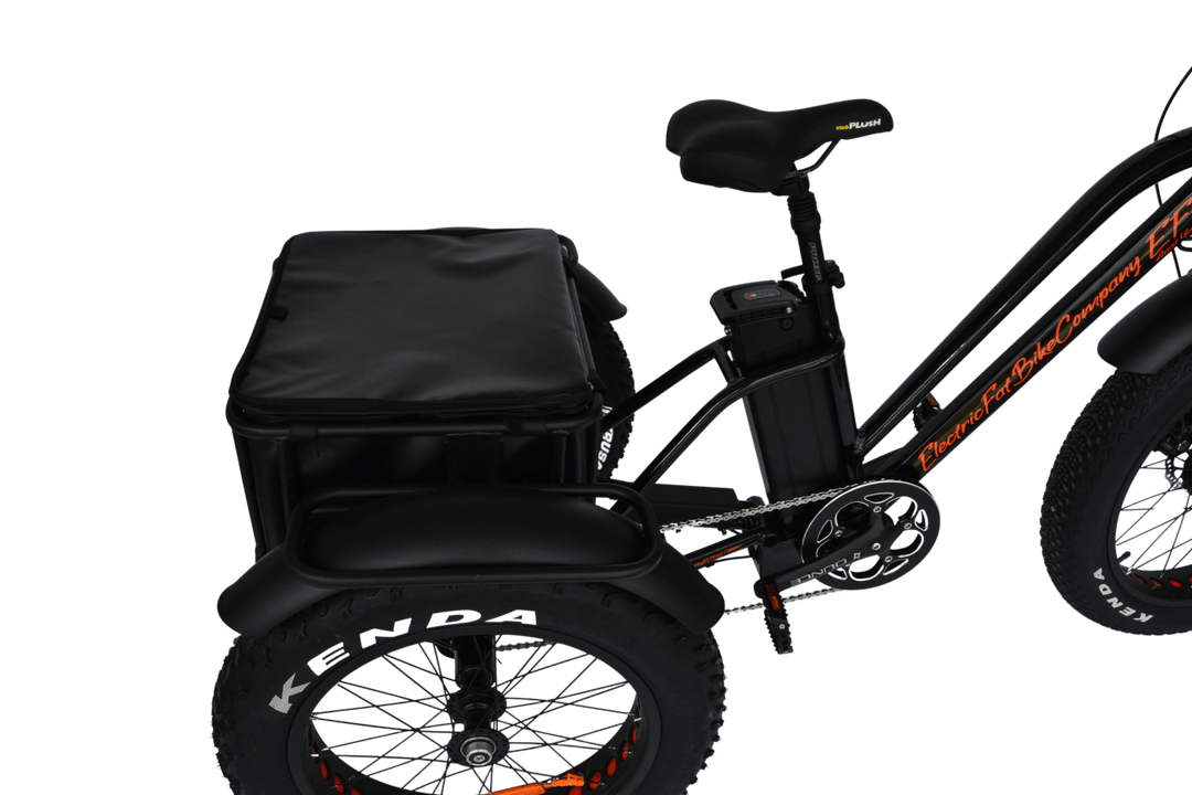 EFBTrike 500 Step-Over