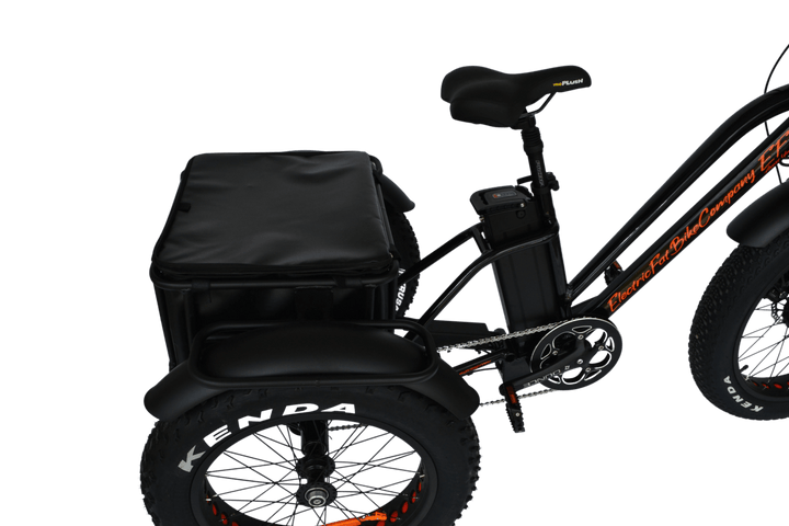 EFBTrike 750 Step-Over