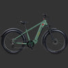 Grateful Dead Koa Rev+ 2 Fat Tire Electric Bike