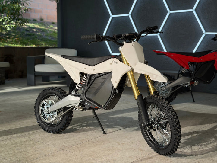 Electro & Co ETM™ RTR Sport
