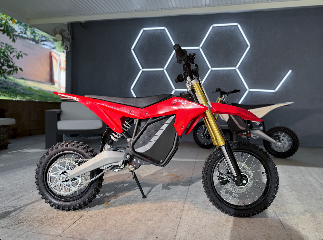 Electro & Co ETM™ RTR Sport