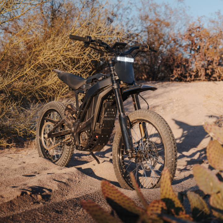 E Ride Pro 3.0