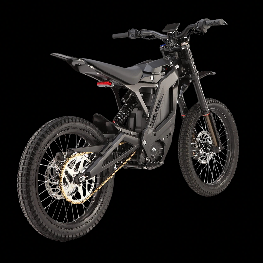 E-Ride Pro SS 3.0